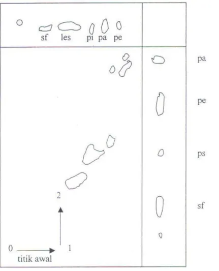 Gambar  5.2.  Pemisahan  dua  dimensi  sari  fosfolipid  dari  eritrosit  manusia. 