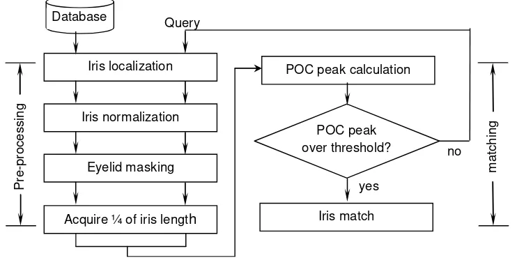 Figure 1. Flow diagram of POC-based iris recognition 