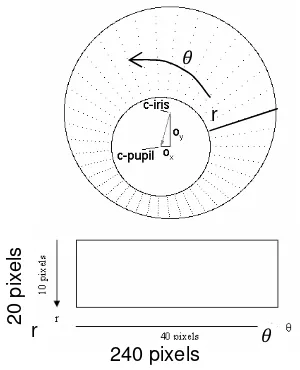 Figure 2. Iris localization and iris normalization 