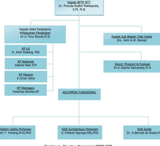 Gambar 1. Struktur Organisasi BPTP NTT 