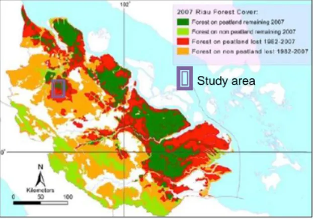 Gambar 1.  Kondisi Hutan di Sekitar Lokasi  Penelitian (Sumber: Uryu et al., 2008)  2.2.2