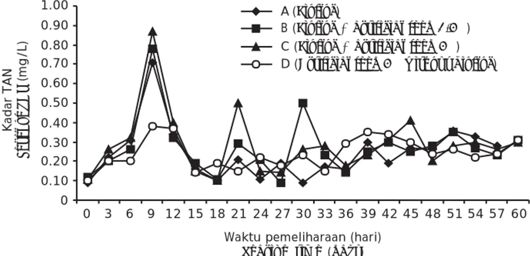 Gambar 1. Pola dinamika amonia nitrogen total (TAN) dalam media budidaya