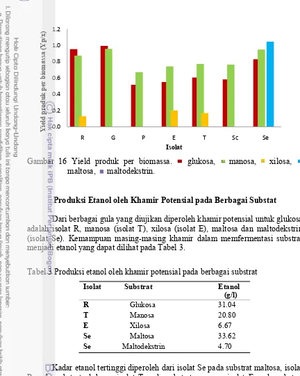 Gambar 16 Yield produk per biomassa. 