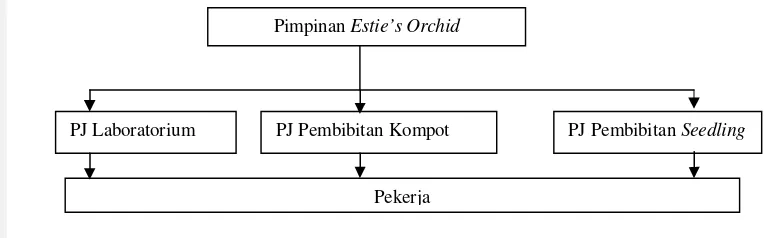 Gambar 5.  Struktur Organisasi Pembibitan Anggrek Estie’s Orchid 
