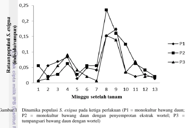Gambar 1  Dinamika populasi  S. exigua  pada ketiga perlakuan (P1 =  monokultur bawang daun; 