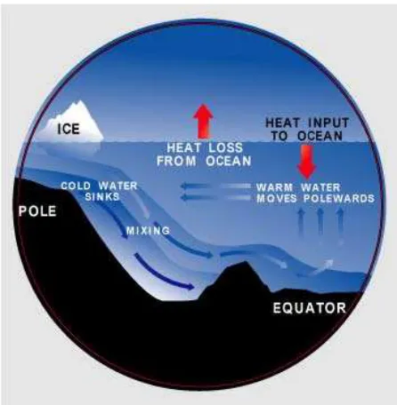 Figure 2. This schema shows the basic mechanism of the North Atlantic thermohaline cycle