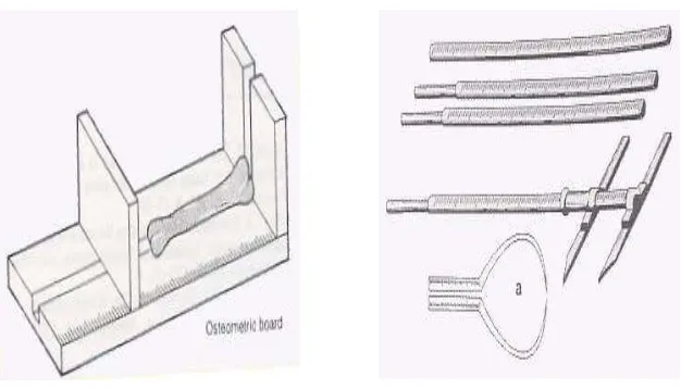 Gambar 2.3(A). Papan Osteometri   (B). Antropometer menurut Martin  (dikutip dari buku Glinka J,Artaria M.D,Koesbardiati T.) 