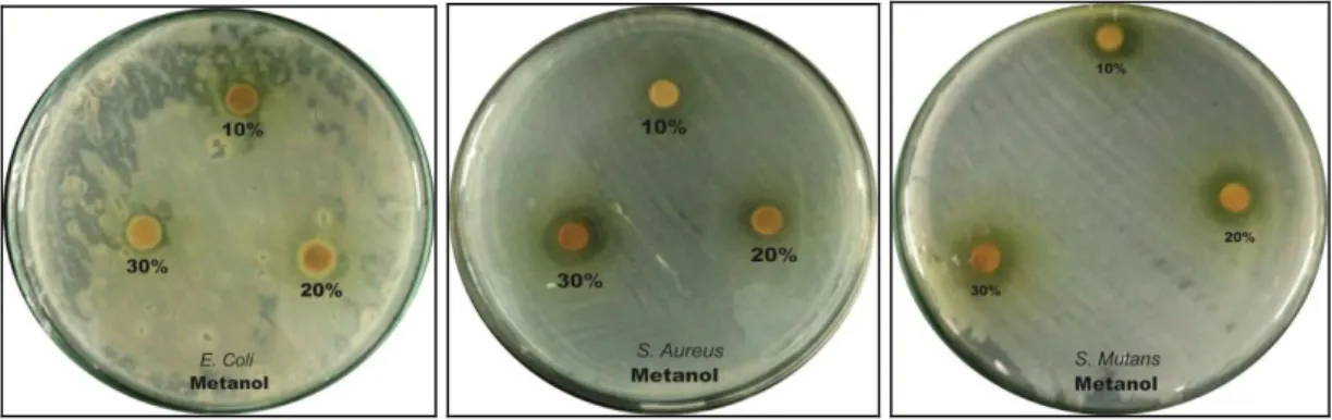 Gambar 4.3. Zona Bening yang ditimbulkan oleh Ekstrak n-Heksana  terhadap bakteri (a) E.coli (b) S.aureus (c) S.Mutan 