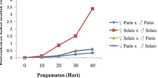 Gambar  1. Grafik  Pertambahan Bobot Larva Ikan Selais, Patin dan Kedua  Hibridanya Selama Penelitian 