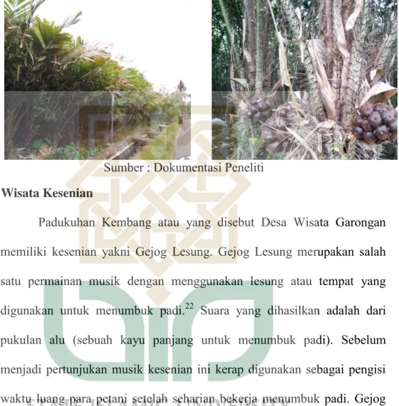 Gambar 7   Perkebunan Salak 