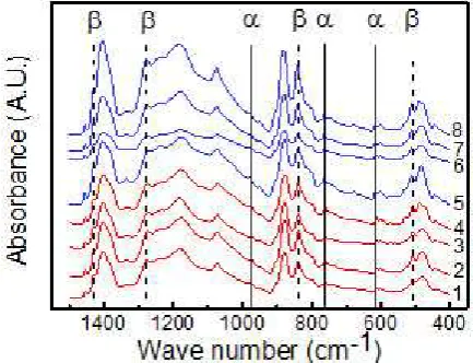 Figure 4. FTIR spectrum of PVDF fibers prepared with different parameters: 1, 2, 3, 4 for fibers prepared using four applied voltages with other parameters kept constant; 5, 6, 7, 8 for fibers prepared using four speeds of motion stage with other parameter