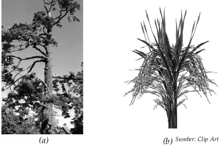 Gambar 1.7 Tumbuhan memiliki gen yang berbeda(a) pohon memiliki gen berbatang tinggi, (b) tanaman padi memiliki gen berbatang pendek