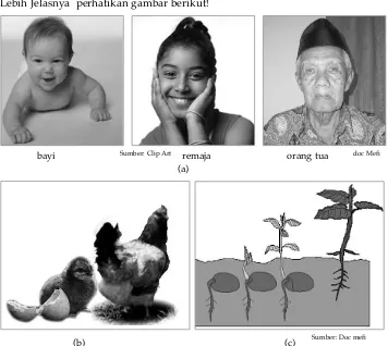 Gambar 1.1 Pertumbuhan dan perkembangan pada (a) manusia, (b) hewan, serta (c) tumbuhan.