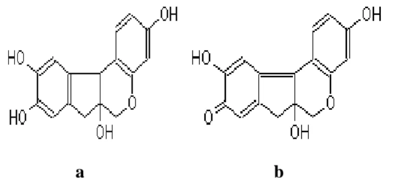 Gambar 5. Struktur kimia (a) brazilin dan (b) brazilein (Oliveira et   al., 2002) 