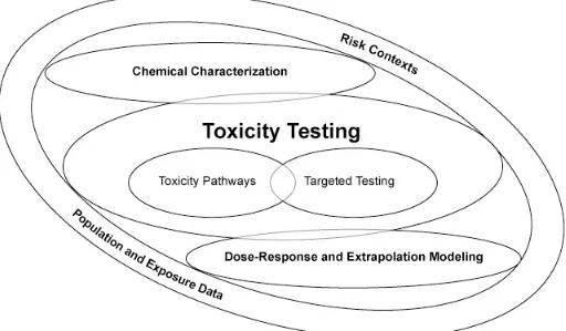 Figure 1.  The committee’s vision for toxicity testing is a process that can include chemical characterization, toxicity testing, and dose-response and extrapolation modeling as part of broader agency decision-making.