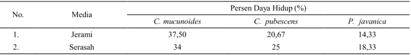 Tabel 1.  Rekapitulasi rata-rata pengaruh media terhadap daya hidup C. mucunoides, C. pubescens, dan P