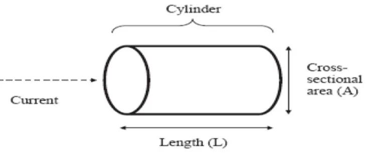 Gambar 2.6. Arus listrik yang dipengaruhi panjang dan tebal jaringan Sumber : Shumei S, et al