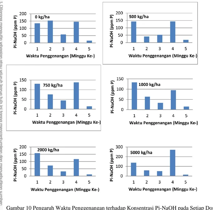 Gambar 10 Pengaruh Waktu Penggenangan terhadap Konsentrasi Pi-NaOH pada Setiap Dosis  Bahan Organik 