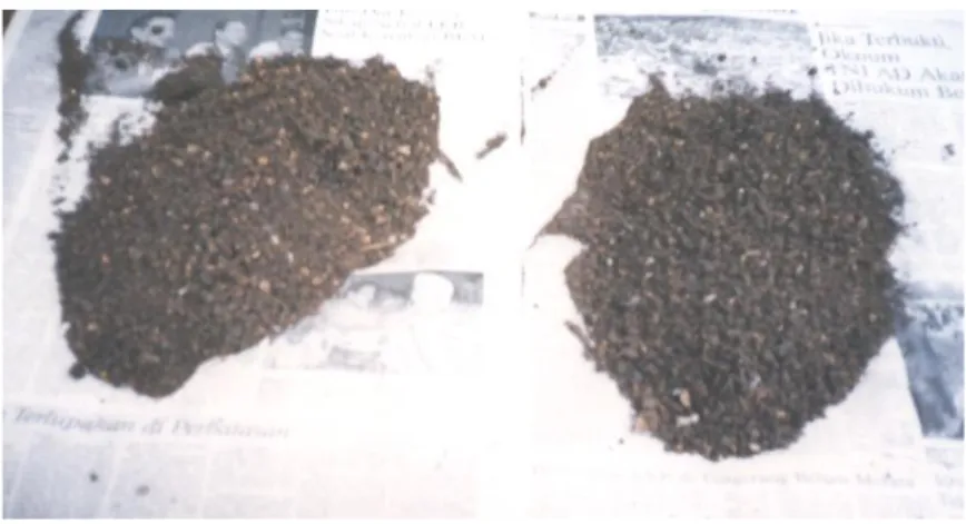 Gambar 5  Bahan organik kompos “tumaritis”.  