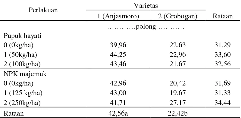 Tabel 6. Rataan jumlah polong berisi per sampel (polong) pada varietas dan pupuk hayati serta pupuk NPK majemuk 