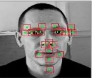 Figure 3. Area of Image Patch at One of Images in BioId Dataset  