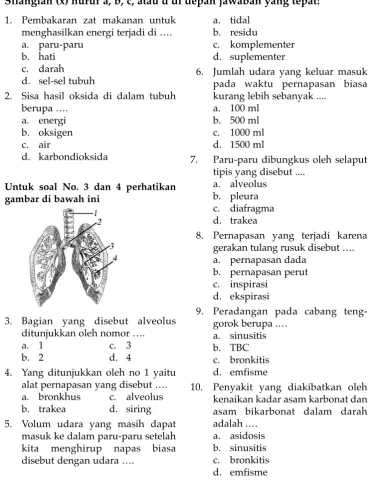 gambar di bawah ini