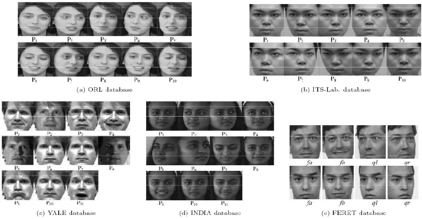 Figure 5. Example of face pose variation of single subject 