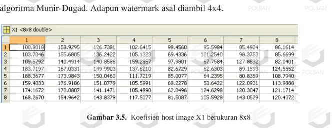 Gambar 3.5. Koefisien host image X1 berukuran 8x8