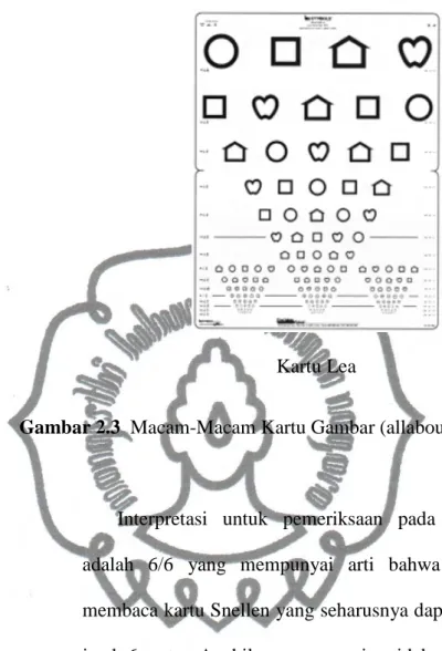 Gambar 2.3  Macam-Macam Kartu Gambar (allaboutvision, 2008) 