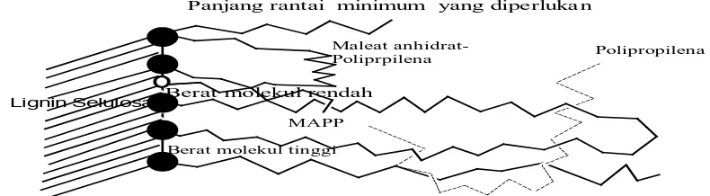 Gambar 2.9. Belitan EntanglementPoliprolena (PP) pada PPd-g- AM dalam papan 