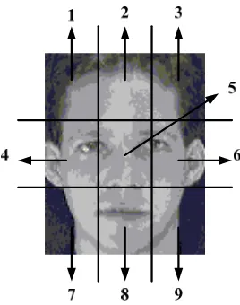 Figure 6. Patch segments of the facial image 