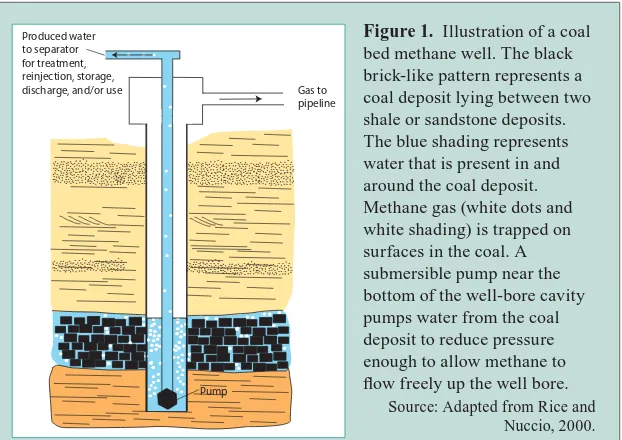 Figure 1. Illustration of a coal bed methane well. The black 