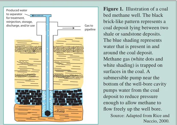 Figure 1. Illustration of a coal bed methane well. The black 