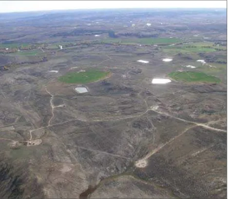 Figure 4. Ponds storing coal bed methane produced water in Wyoming. The green parcels are ﬁ elds irrigated with coal bed methane produced water