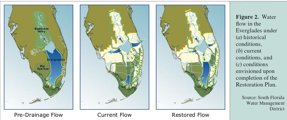 Figure 2. Water 