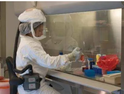 Figure 1. A biologist working in a laboratory designed to handle pathogenic materials