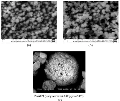 Gambar 5 Morfologi permukaan (a) ZK1, (b) nanokomposit zeolit/TiO2 