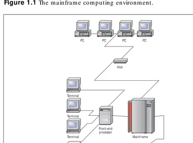 Figure 1.1 The mainframe computing environment.