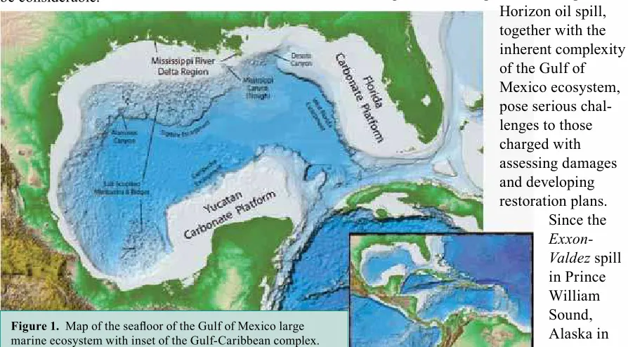 Figure 1.  Map of the sealoor of the Gulf of Mexico large 