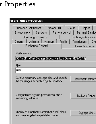 Figure 1.2 Exchange 2000 System Manager