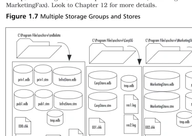 Figure 1.7 Multiple Storage Groups and Stores