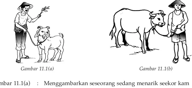 Gambar 11.1(a): Menggambarkan seseorang sedang menarik seekor kambing dalam keadaan diam.Gambar 11.1(b):Menggambarkan seseorang sedang menarik seekor kerbau dalam keadaan diam.
