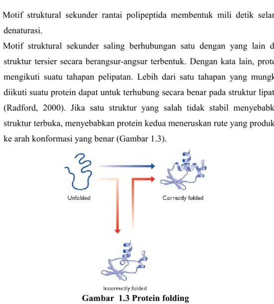 Gambar  1.3 Protein folding