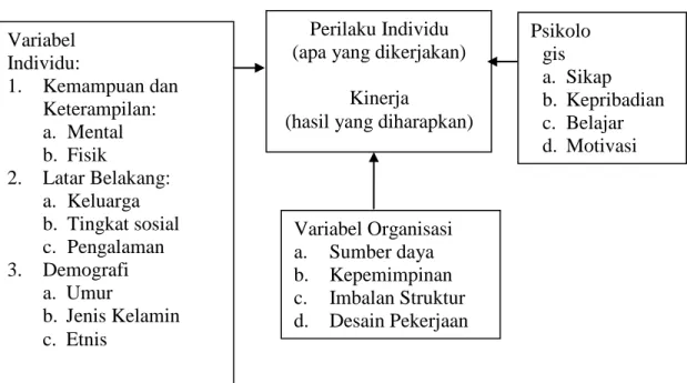 Diagram skematis teori perilaku dan kinerja digambarkan sebagai berikut : 