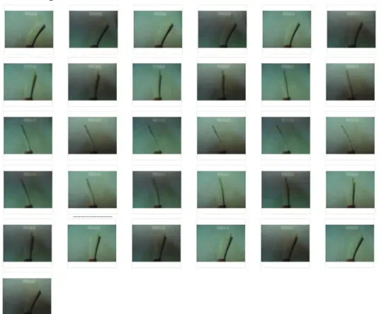 Gambar 3. Frame per frame eksperimental modal analysis menggunakan high speed camera  