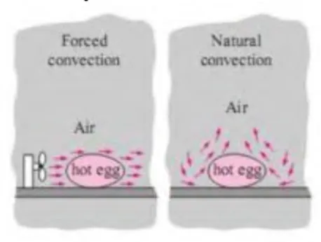 Gambar 2. 10 Perpindahan panas secara konveksi  (Sumber: KAPITA SELEKTA, George Endri K.) 