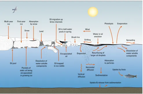 Figure 5.  Environmental processes that affect oil behavior and weathering in open water and in ice. Modiied from Daling et al., 1990, A. Allen.