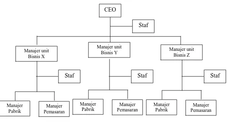 Gambar 2.4  Organisasi Unit Bisnis (Divisional) 