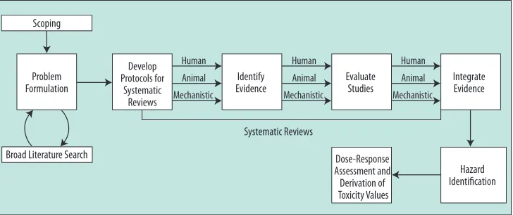 Figure 1. Steps in the IRIS process. The report’s authoring committee views public input and 