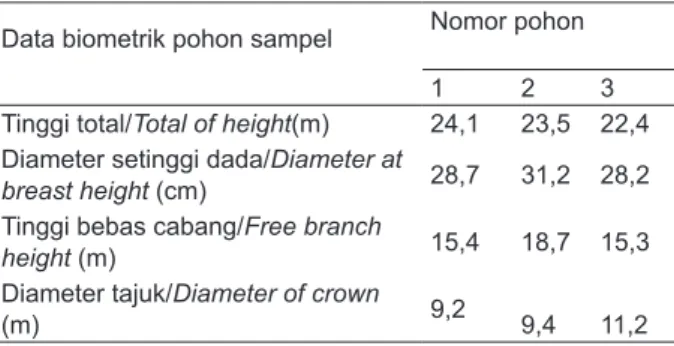 Tabel 1.Data pertumbuhan pohon sampel  jabon